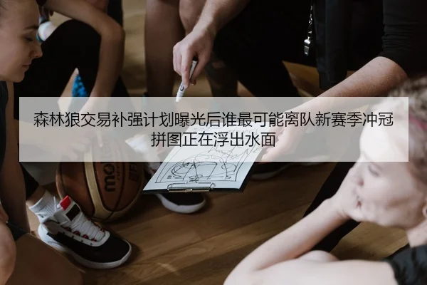 森林狼交易补强计划曝光后谁最可能离队新赛季冲冠拼图正在浮出水面
